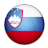 Flag Of Slovenia Icon 48x48 png